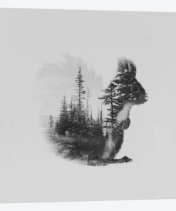 Ekorn II in B&W
