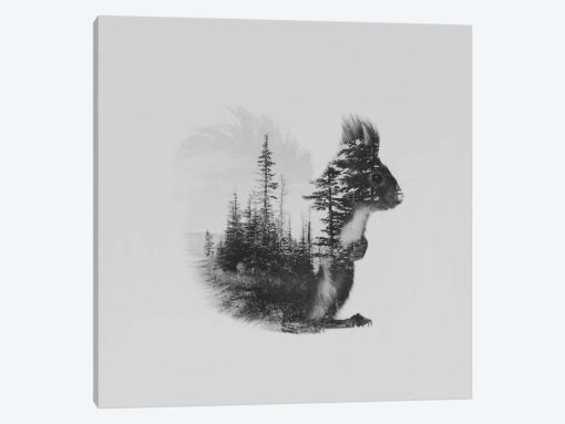 Ekorn II in B&W