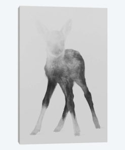 Fawn I in B&W