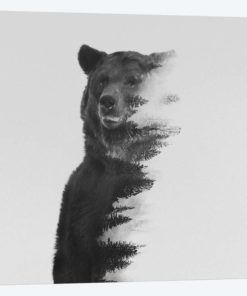 Observing in B&W