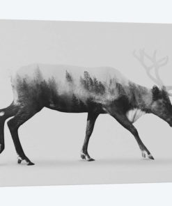 Reindeer  I in B&W