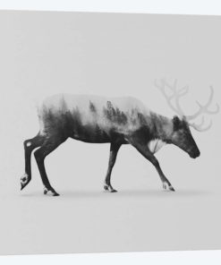 Reindeer II in B&W