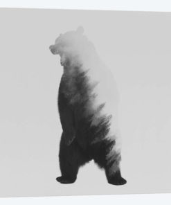 The Bear in B&W