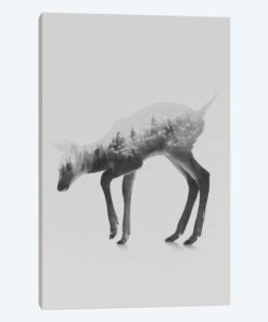 The Deer I in B&W