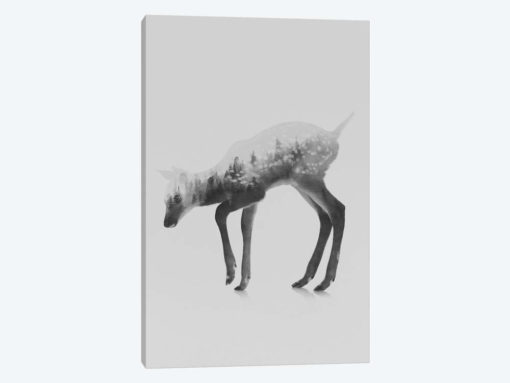 The Deer I in B&W
