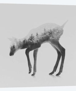 The Deer II in B&W