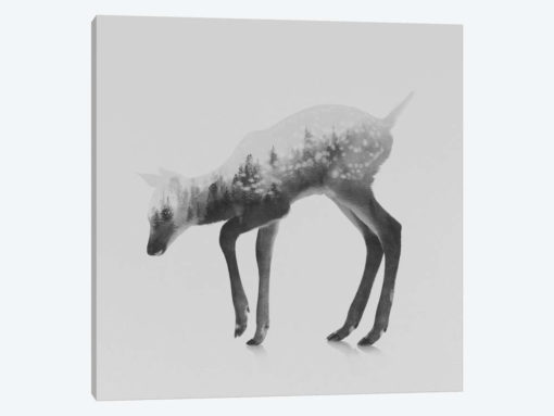 The Deer II in B&W