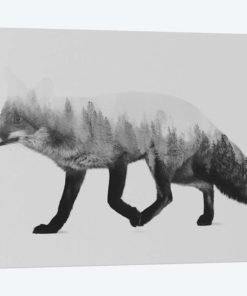 The Fox I in B&W