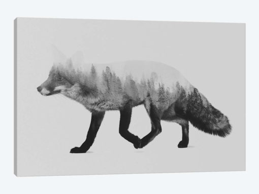 The Fox I in B&W