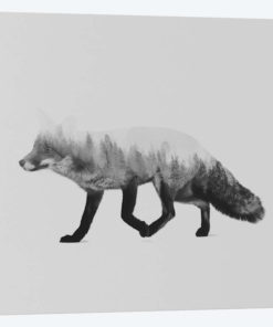The Fox II in B&W