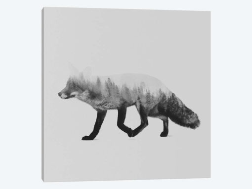 The Fox II in B&W