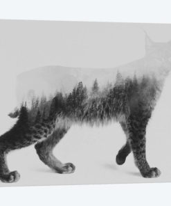 Lynx I in B&W