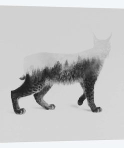 The Lynx in B&W
