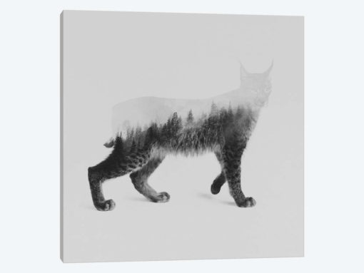The Lynx in B&W