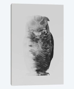 The Owl I in B&W