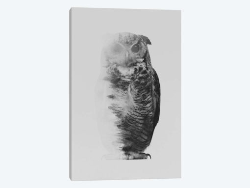 The Owl I in B&W