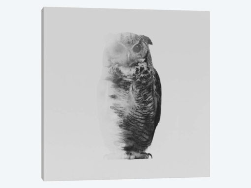 The Owl II in B&W