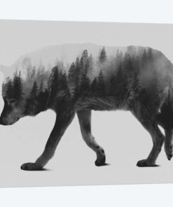 The Wolf I in B&W