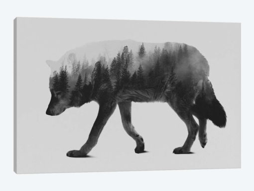 The Wolf I in B&W