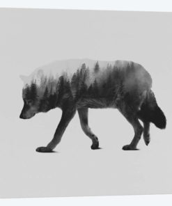 The Wolf II in B&W