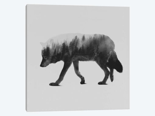 The Wolf II in B&W