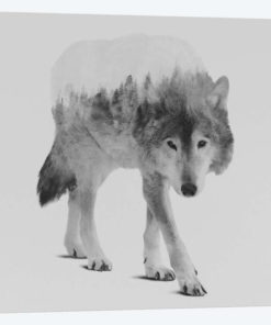 Wolf In The Woods IV in B&W