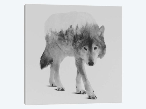 Wolf In The Woods IV in B&W