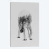 Wolf In The Woods I in B&W