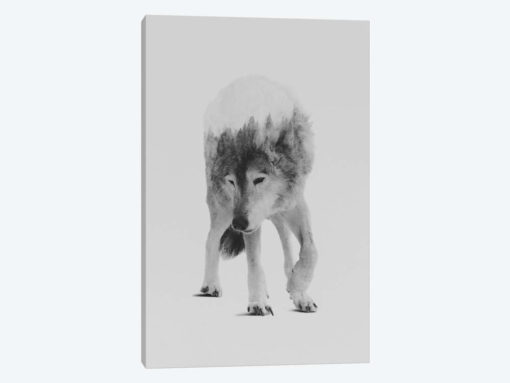 Wolf In The Woods I in B&W
