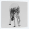 Wolf In The Woods III in B&W