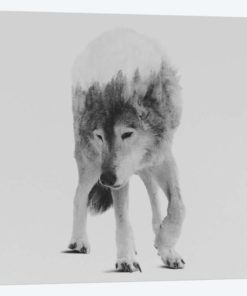 Wolf In The Woods III in B&W