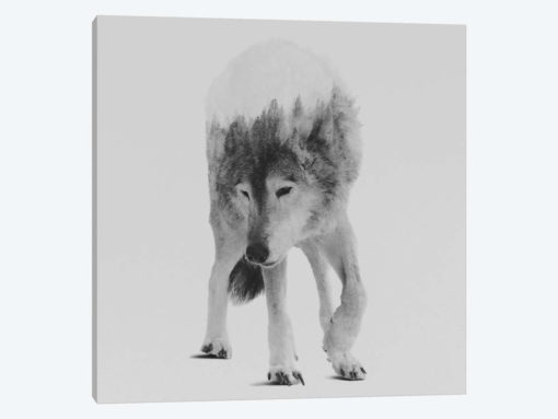 Wolf In The Woods III in B&W