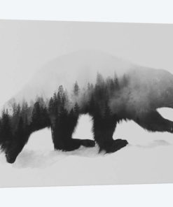 Wolverine I in B&W