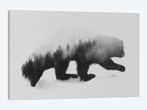 Wolverine I in B&W