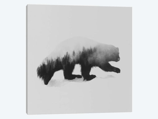 The Wolverine in B&W