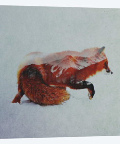 Fox II