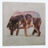 Wolf II
