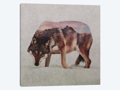 Wolf II