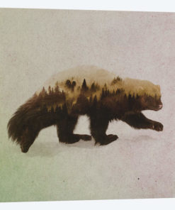 Wolverine II