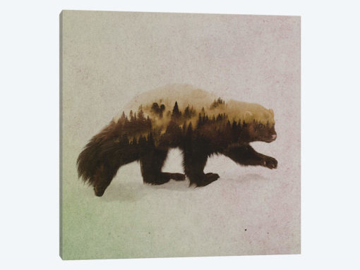Wolverine II