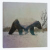 Grizzly Bear