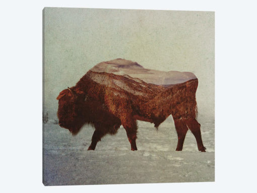 Bison II