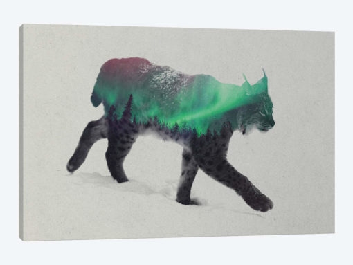 Lynx