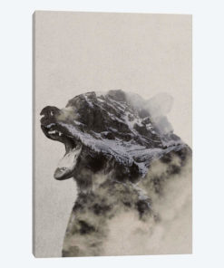 Bear In The Fog