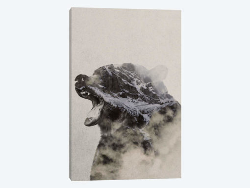 Bear In The Fog