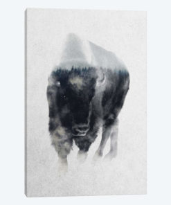 Bison In Mist