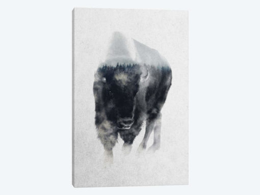 Bison In Mist