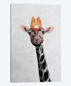 Giraffe II