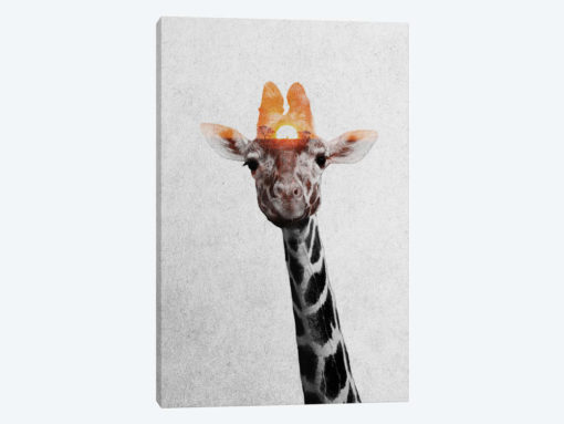 Giraffe II