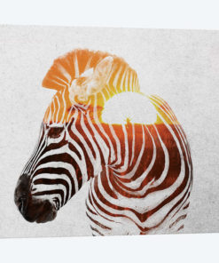 Zebra II